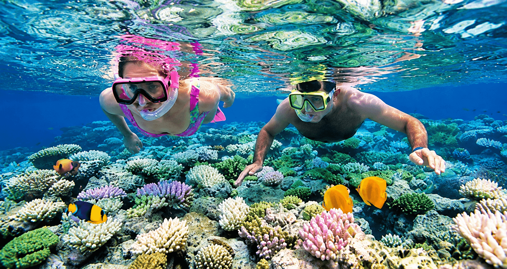 Glass Bottom Boat Ride in Andaman